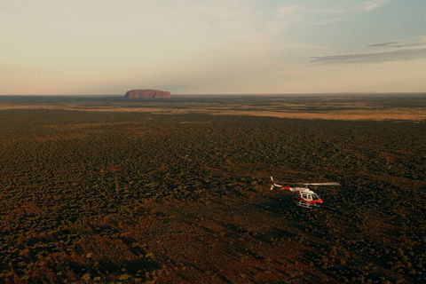 Helicopter Scenic: Lizard Safari - Tourism Brisbane 4