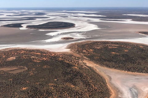Helicopter Scenic: Lizard Safari - Tourism Brisbane 5