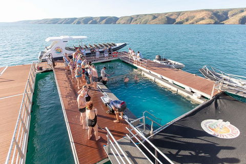 Horizontal Falls Half-Day Tour From Broome - Brisbane Tourism 3