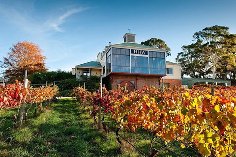 Adelaide Hills Food, Wine, Cheese, & Chocolate - Private Day Tour - Tourism Brisbane 3