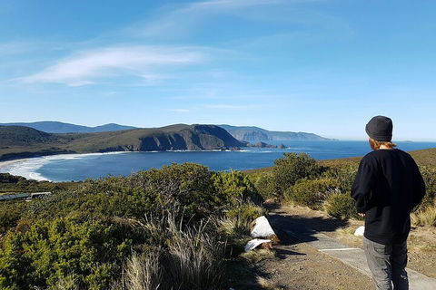 4-Day Fabulous Tasmania Tour: Wineglass Bay, Port Arthur, Devils & Bruny Island - Brisbane Tourism 0