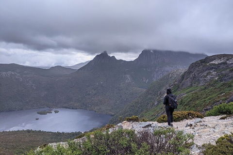 5-Day Best Of Tasmania Tour From Hobart - Tourism Brisbane 3