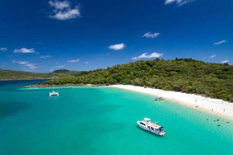 Whitehaven Beach And Hill Inlet | Awesome Beach BBQ | Family Friendly - Tourism Brisbane 3