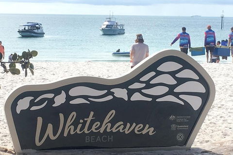 Whitehaven Beach And Hill Inlet | Awesome Beach BBQ | Family Friendly - Tourism Brisbane 5