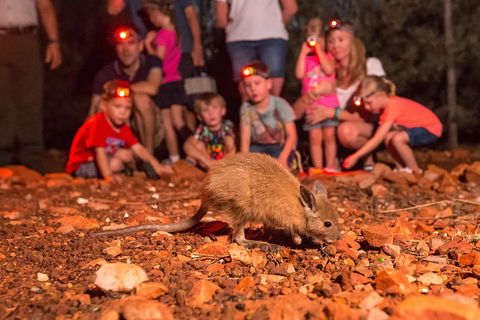 Alice Springs Desert Park Nocturnal Tour - Tourism Brisbane 1