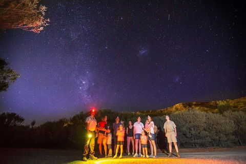 Alice Springs Desert Park Nocturnal Tour - Tourism Brisbane 2