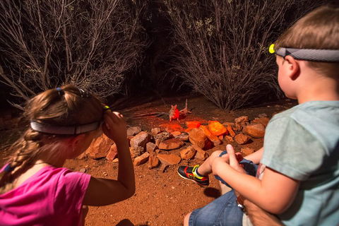 Alice Springs Desert Park Nocturnal Tour - Tourism Brisbane 4