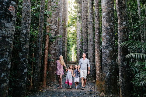 The Original Day Tour To Paronella Park, Lake Barrine And Millaa Millaa Falls - Tourism Brisbane 1