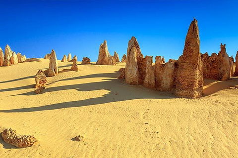 Full-Day Pinnacles Desert And Yanchep National Park Tour From Perth - Tourism Brisbane 2