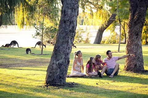 Full-Day Pinnacles Desert And Yanchep National Park Tour From Perth - Tourism Brisbane 3