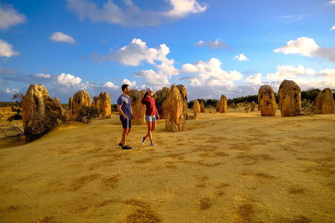 Full-Day Pinnacles Desert And Yanchep National Park Tour From Perth - Tourism Brisbane 4
