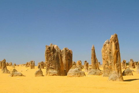 Half Day Pinnacles Sunset Tour - Tourism Brisbane 5