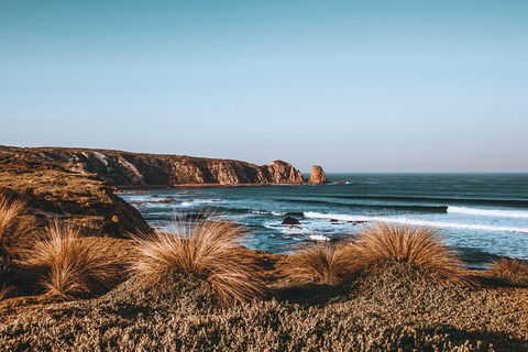 Small Group - Phillip Island Hike & Penguin Parade Day Tour From Melbourne - Tourism Brisbane 0