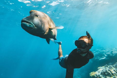 Great Barrier Reef Day Cruise To Reefworld - Tourism Brisbane 3