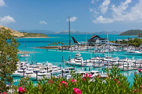 Whitehaven Beach And Hamilton Island Cruise - Tourism Brisbane 3
