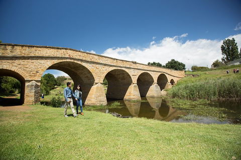 Bonorong Wildlife Park And Richmond Afternoon Tour From Hobart - Tourism Brisbane 2