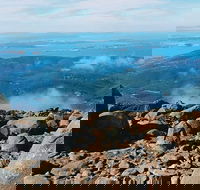 Mount Wellington Ultimate Experience Tour from Hobart