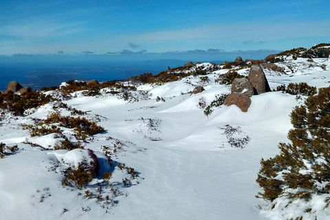 Mount Wellington Ultimate Experience Tour From Hobart - Tourism Brisbane 1