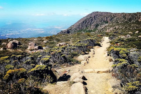 Mount Wellington Ultimate Experience Tour From Hobart - Tourism Brisbane 5