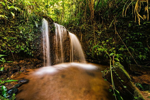 Paronella Park Admission Ticket - Brisbane Tourism 5