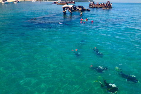 Adventure Moreton Island Scuba Dive Tour - Tourism Brisbane 0