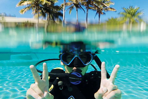 Adventure Moreton Island Scuba Dive Tour - Tourism Brisbane 2