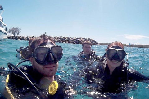 Wave Break Island Scuba Diving On The Gold Coast - Tourism Brisbane 0
