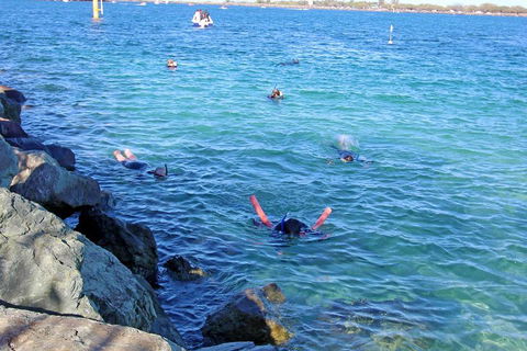 Wave Break Island Scuba Diving On The Gold Coast - Tourism Brisbane 1