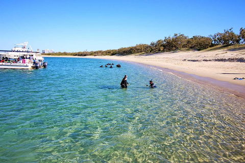 Wave Break Island Scuba Diving On The Gold Coast - Tourism Brisbane 4