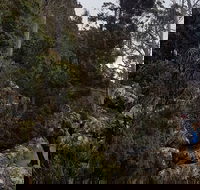 kunanyi / Mt. Wellington Guided Hiking Tour - Tourism Brisbane