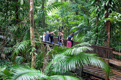 Full Day Daintree Rainforest And Mossman Gorge Tour - Tourism Brisbane 1
