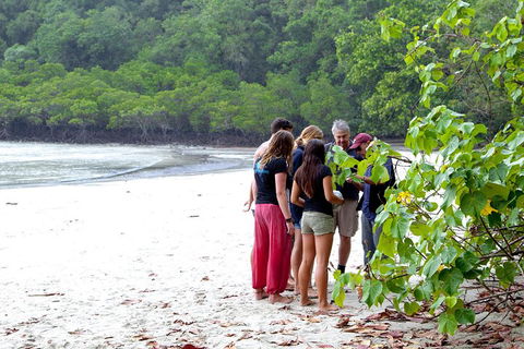 Full Day Daintree Rainforest And Mossman Gorge Tour - Tourism Brisbane 2