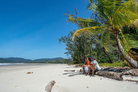 Full Day Daintree Rainforest And Mossman Gorge Tour - Tourism Brisbane 4