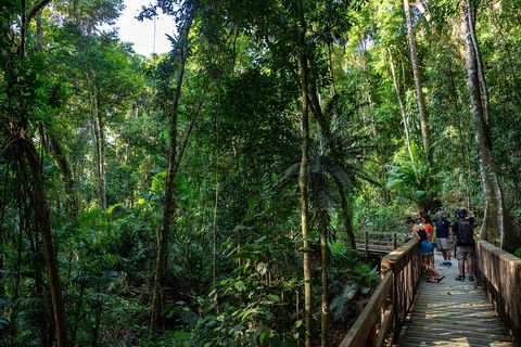 Full Day Daintree Rainforest And Mossman Gorge Tour - Tourism Brisbane 5