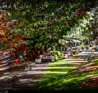 Fully Inclusive Blue Mountains Private Tour inc Scenic World  Featherdale entry - Tourism Brisbane
