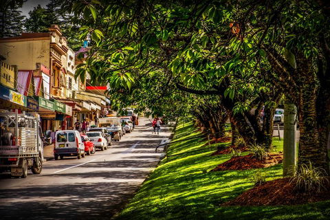 Fully Inclusive Blue Mountains Private Tour Inc Scenic World & Featherdale Entry - Tourism Brisbane 0