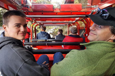 Fully Inclusive Blue Mountains Private Tour Inc Scenic World & Featherdale Entry - Tourism Brisbane 1