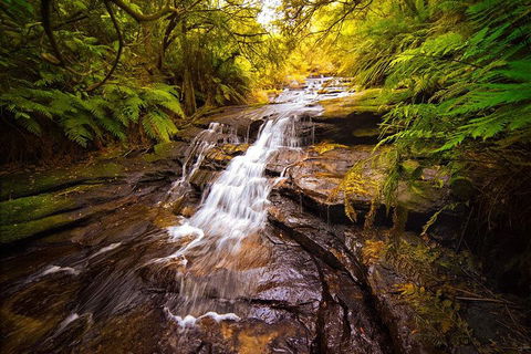 Fully Inclusive Blue Mountains Private Tour Inc Scenic World & Featherdale Entry - Tourism Brisbane 3