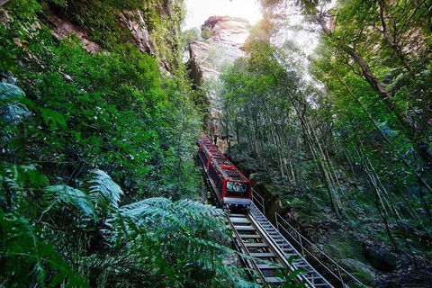 Fully Inclusive Blue Mountains Private Tour Inc Scenic World & Featherdale Entry - Tourism Brisbane 4