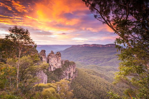 Fully Inclusive Blue Mountains Private Tour Inc Scenic World & Featherdale Entry - Tourism Brisbane 5