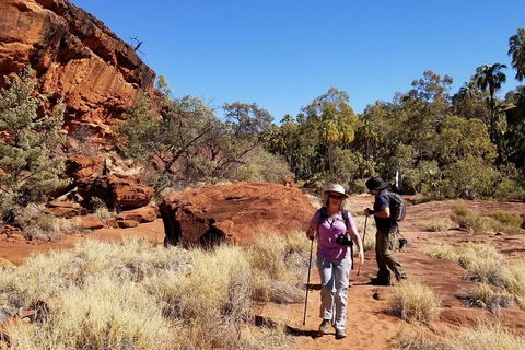 Palm Valley And Hermannsburg 1 Day 4WD Tour - Brisbane Tourism 1
