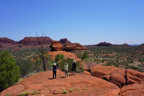 Palm Valley And Hermannsburg 1 Day 4WD Tour - Brisbane Tourism 2