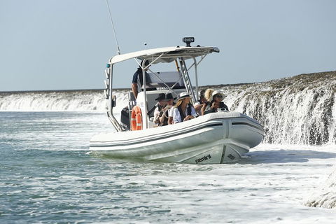 Cygnet Bay Explorer - Brisbane Tourism 2