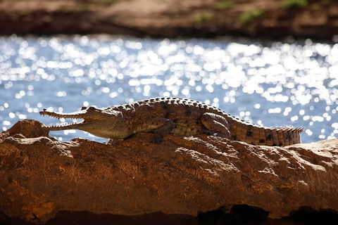 Windjana Explorer - Tourism Brisbane 5