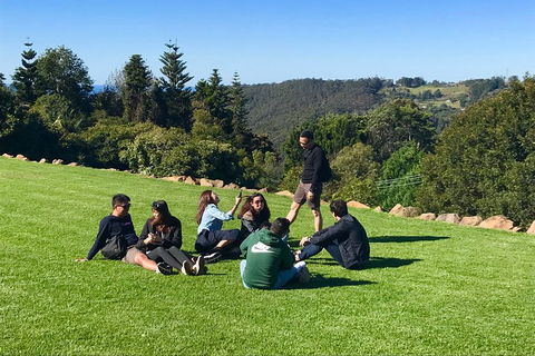 Mt Tamborine - Hinterland Wonders Self Guided - Tourism Brisbane 1