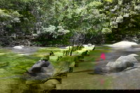 Daintree Dreaming Traditional Aboriginal Fishing from Cairns or Port Douglas