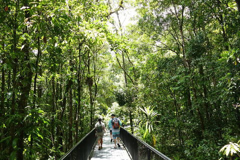 Daintree Dreaming Traditional Aboriginal Fishing From Cairns Or Port Douglas - Tourism Brisbane 3