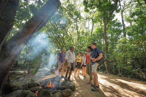 Daintree Dreaming Traditional Aboriginal Fishing From Cairns Or Port Douglas - Tourism Brisbane 5