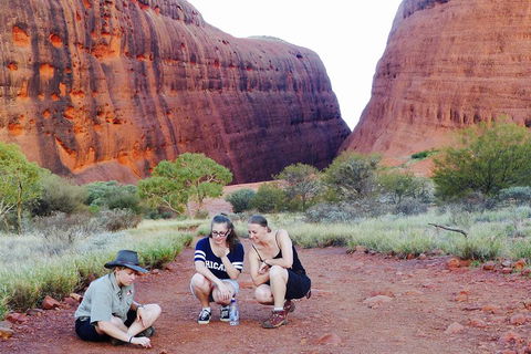Afternoon Kata Tjuta Small Group Tour - Tourism Brisbane 2