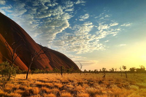 Highlights Of Uluru Including Sunrise And Breakfast - Brisbane Tourism 0